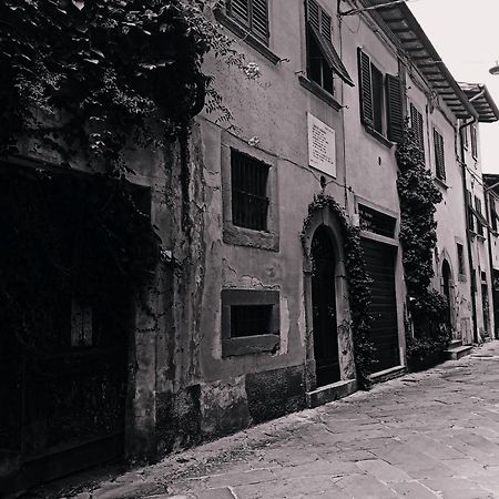 Dimora Coccapani Apartman Pisa Kültér fotó